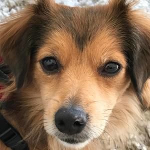 Meet your Posher, Jodi